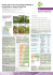 Growth and survival of rainforest seedlings in reforestation in