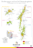 Die Bourgogne und ihre fünf Weinanbaugebiete
