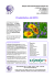 Preisliste Juli 2016