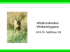 Wildkrankheiten und Wildfleischuntersuchung