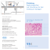 Einladung Nephrologischer AAV Workshop für