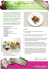 rezept-zitronenhuhn:Layout 7