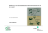 PDF 4 MB - Fraunhofer IFF - Holz und Biomasselogistik