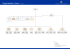 Organisation chart of the European Medicines Agency