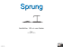 Code de Pointage 2015 - Sprung