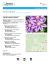 Ansicht drucken/als pdf exportieren