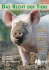 PDF - Bund gegen Missbrauch der Tiere