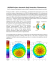 IDP/MA Project: Automatic Early Detection of Keratoconus