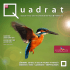 - Quadrat