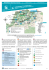 RANDONNÉES PÉDESTRES EN ALSACE