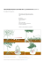 vektororientiertes zeichnen mit illustrator cs4