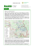 Newsletter Wolf Juli 2013