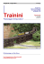 Trainini - Raildig.com