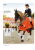 aktuelles-29-01-2015 - Reitsportzentrum Massener Heide