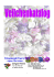 Viola Katalog mit Bilder 2006
