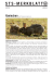Kaninchen - Schweizer Tierschutz STS