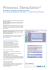 Process Simulator