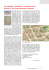 ein aktueller „Stadtplan“ in historischem Gewand – die