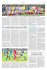 Rasenplatzweinweihung Spiel 1. FC Köln