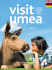 the umeå region | sweden | summerguide 2015